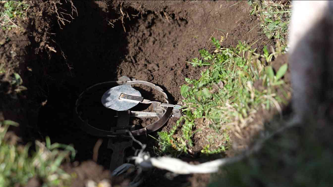 祁连山三面环沙中筑牢生态屏障 沙漠边缘阻击战见成效