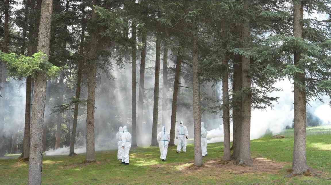 祁连山三面环沙中筑牢生态屏障 沙漠边缘阻击战见成效