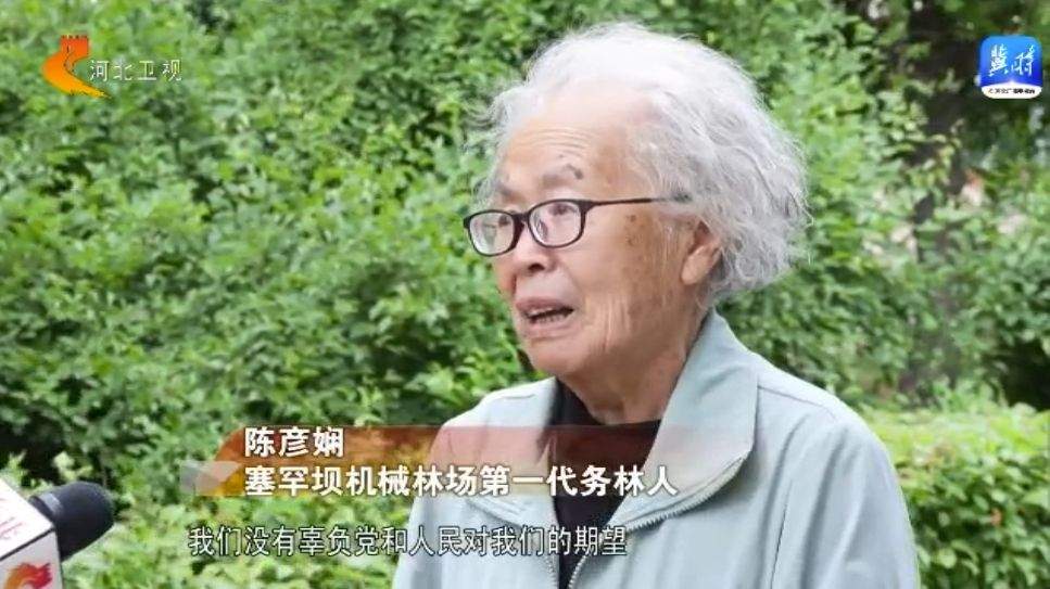 塞罕坝62年治沙造林奇迹从荒漠变绿洲