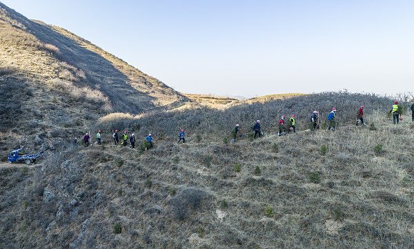 三北工程攻坚战成效显著 完成造林种草约4000万亩
