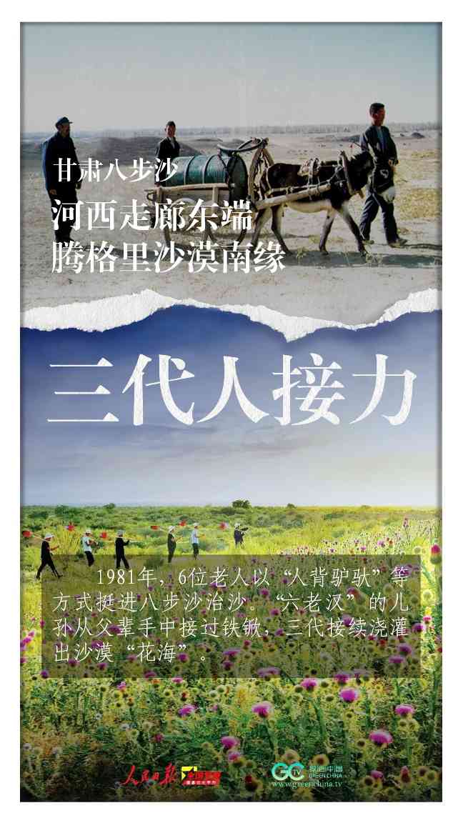 三北防护林45年治沙奇迹见证中国生态修复智慧