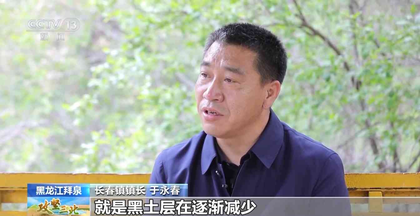 三北工程防护林建设成效显著 农田生态治理模式获突破