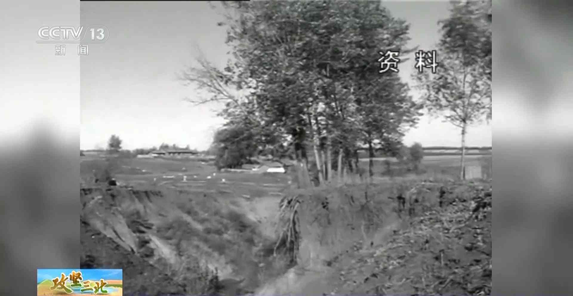 三北工程防护林建设成效显著 农田生态治理模式获突破