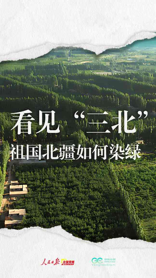 三北防护林45年治沙奇迹见证中国生态修复智慧