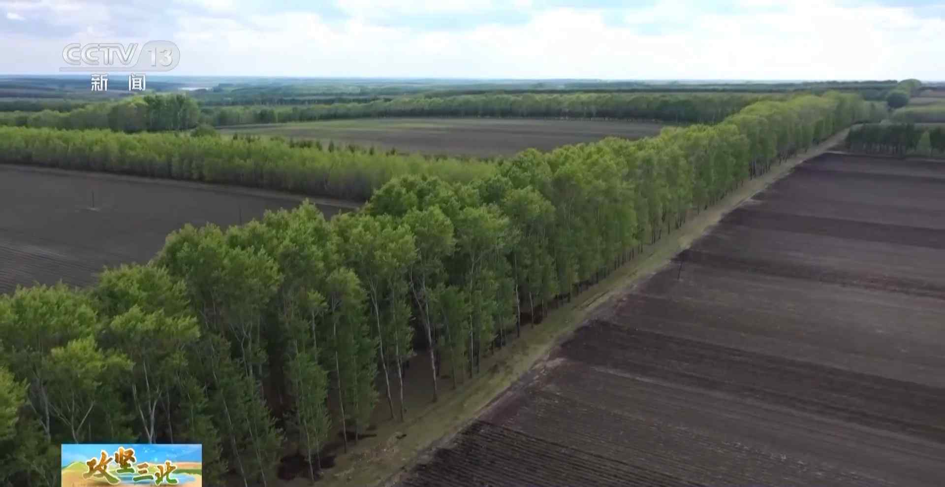 三北工程防护林建设成效显著 农田生态治理模式获突破