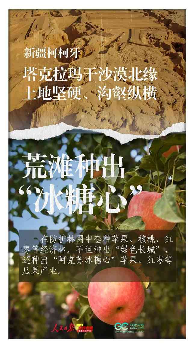 三北防护林45年治沙奇迹见证中国生态修复智慧