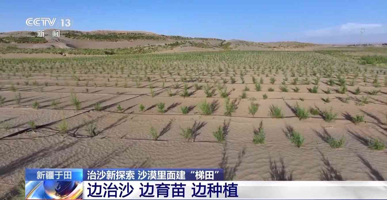 新疆于田县创新沙漠梯田治沙模式成效显著