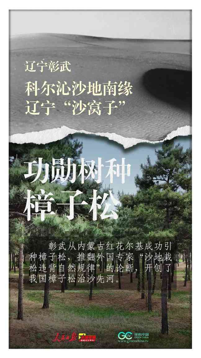 三北防护林45年治沙奇迹见证中国生态修复智慧