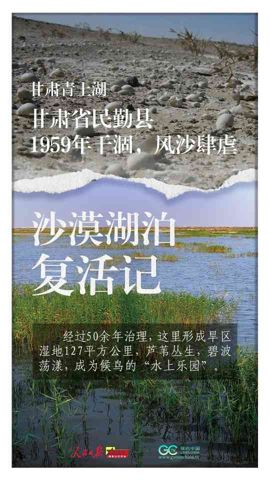 三北防护林45年治沙奇迹见证中国生态修复智慧
