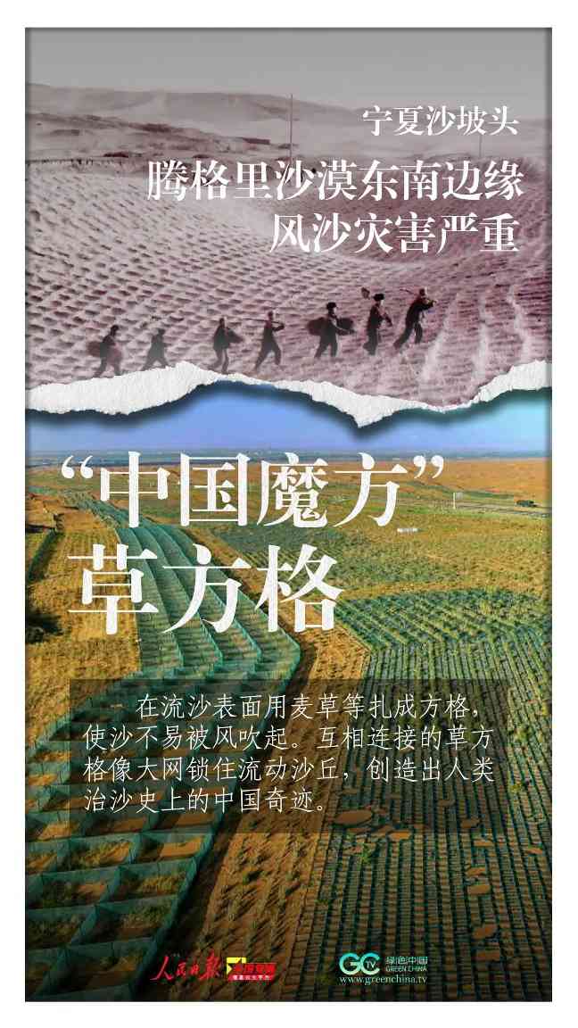 三北防护林45年治沙奇迹见证中国生态修复智慧