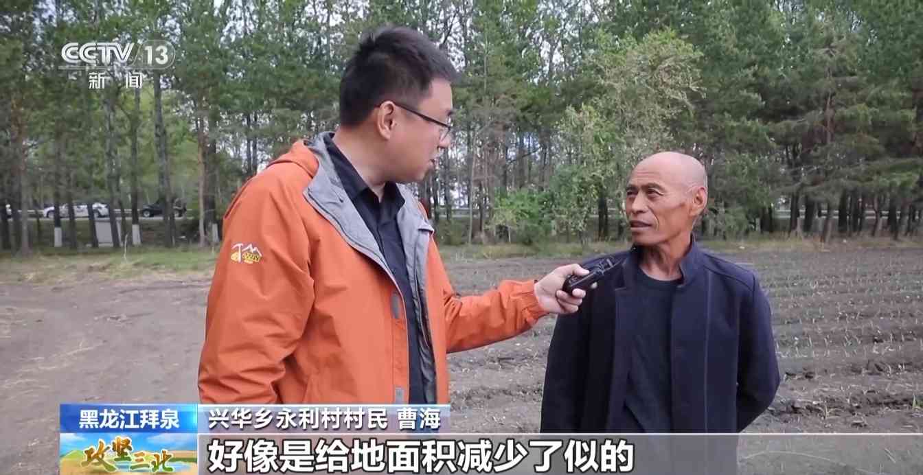 三北工程防护林建设成效显著 农田生态治理模式获突破