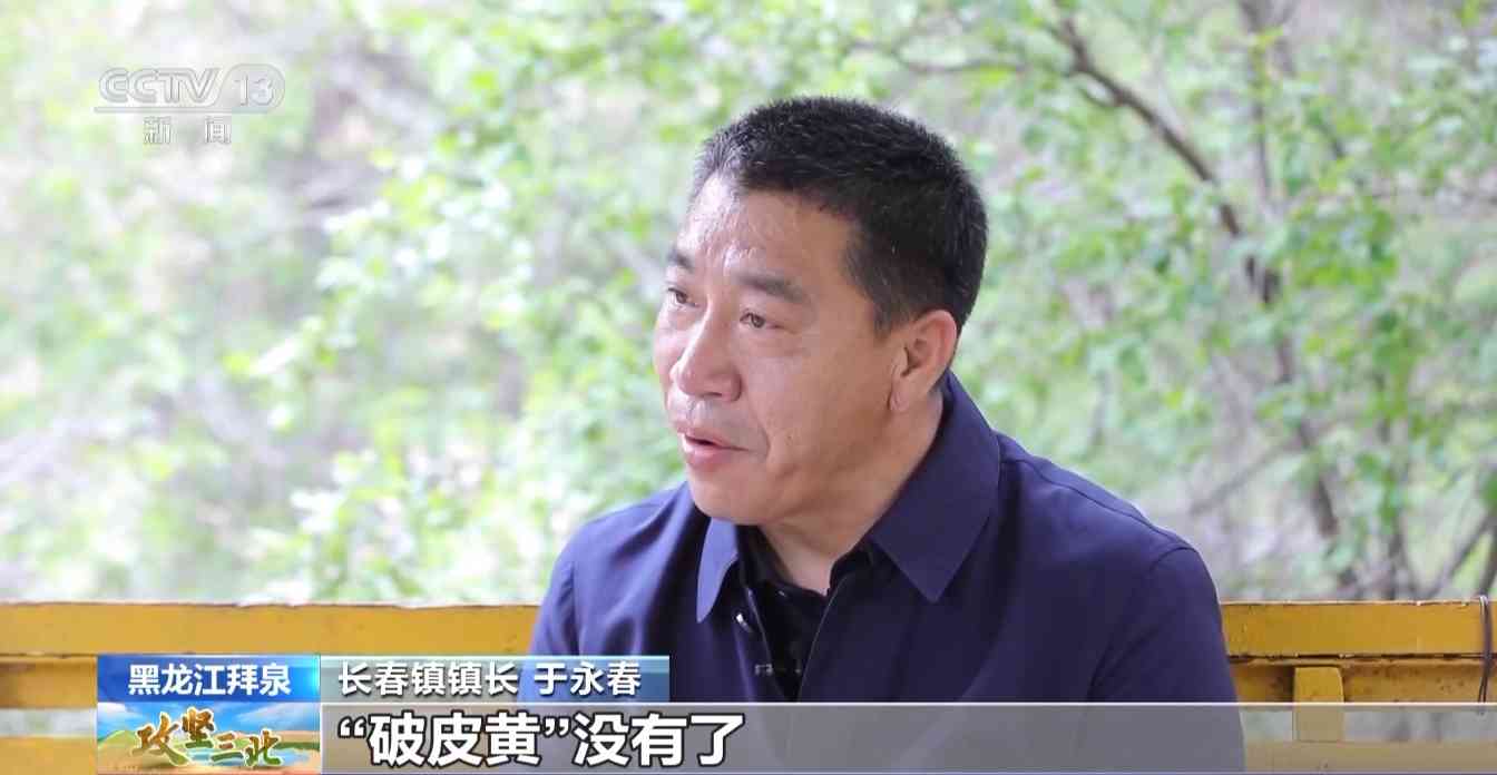 三北工程防护林建设成效显著 农田生态治理模式获突破