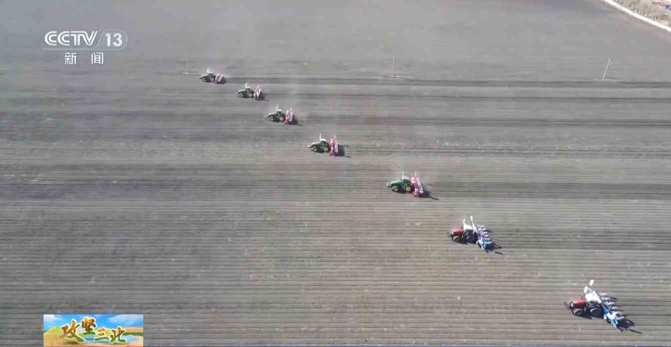 三北工程防护林建设成效显著 农田生态治理模式获突破