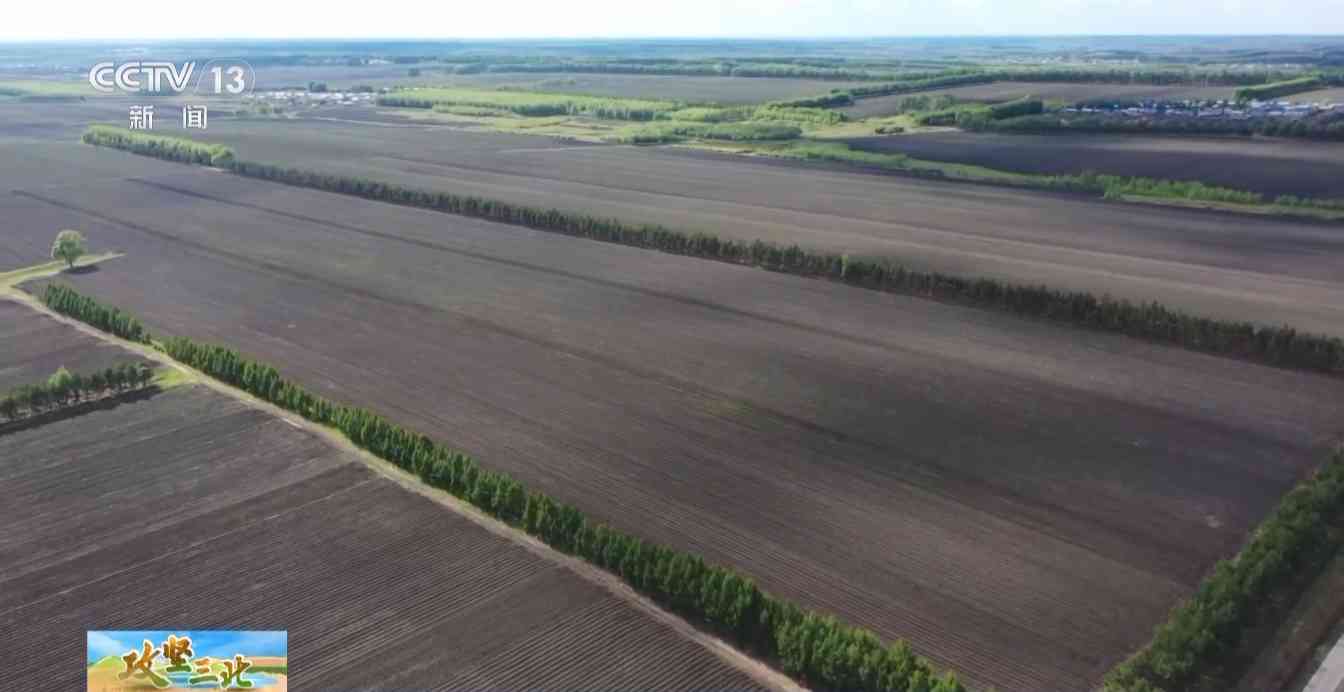 三北工程防护林建设成效显著 农田生态治理模式获突破