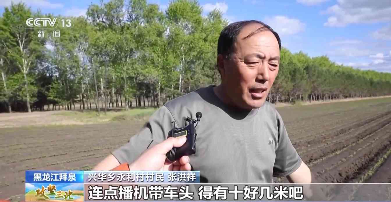 三北工程防护林建设成效显著 农田生态治理模式获突破
