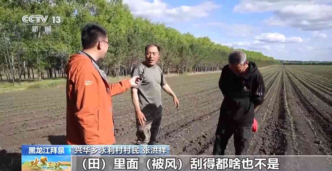 三北工程防护林建设成效显著 农田生态治理模式获突破