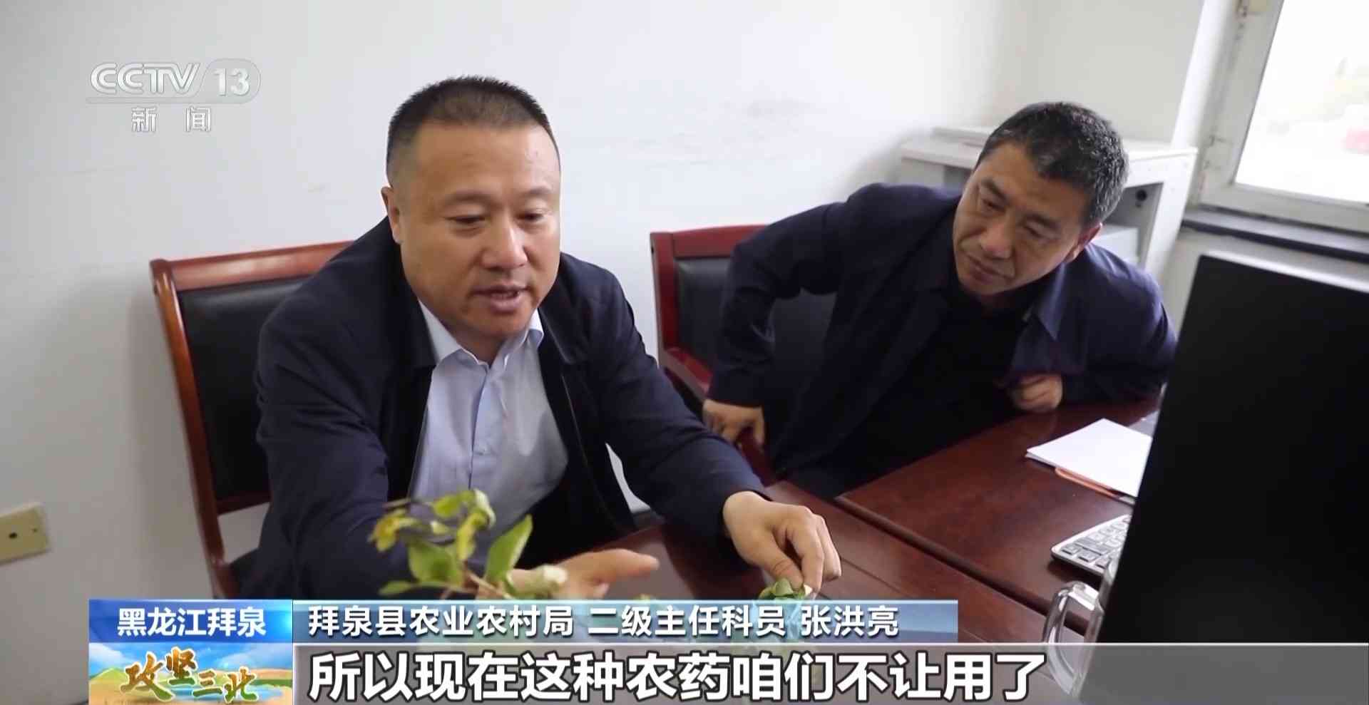 三北工程防护林建设成效显著 农田生态治理模式获突破