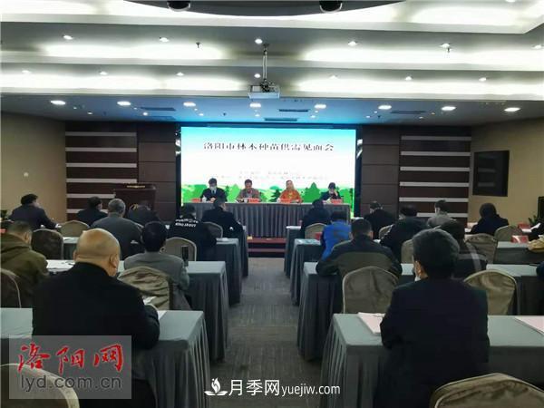 2.2亿株!洛阳市可供今冬明春国土绿化使用的苗木种类齐全(图1) 2.2亿株!洛阳市可供今冬明春国土绿化使用的苗木种类齐全(图1)