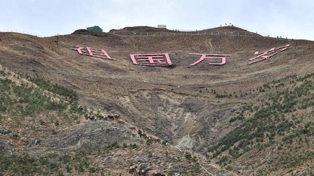 拉萨南北山绿化工程成效显著 荒山变绿园造福民生