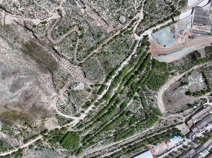 拉萨南北山绿化工程成效显著 荒山变绿园造福民生