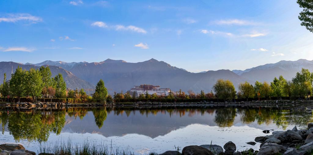 拉萨南北山绿化工程成效显著 荒山变绿园造福民生