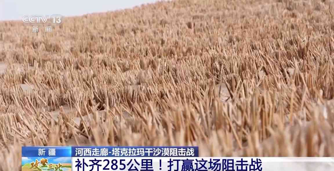 塔克拉玛干沙漠锁边工程突破285公里缺口，绿色屏障逐步成型