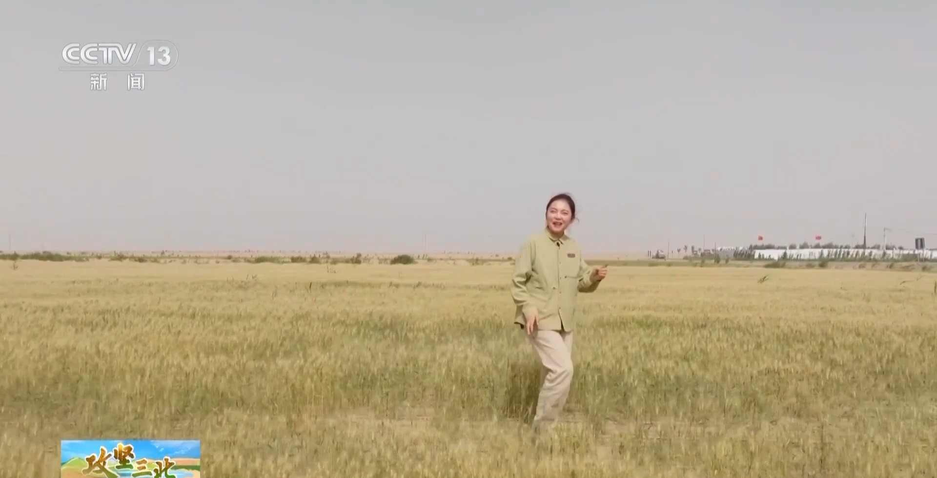 塔克拉玛干沙漠锁边工程突破285公里缺口，绿色屏障逐步成型