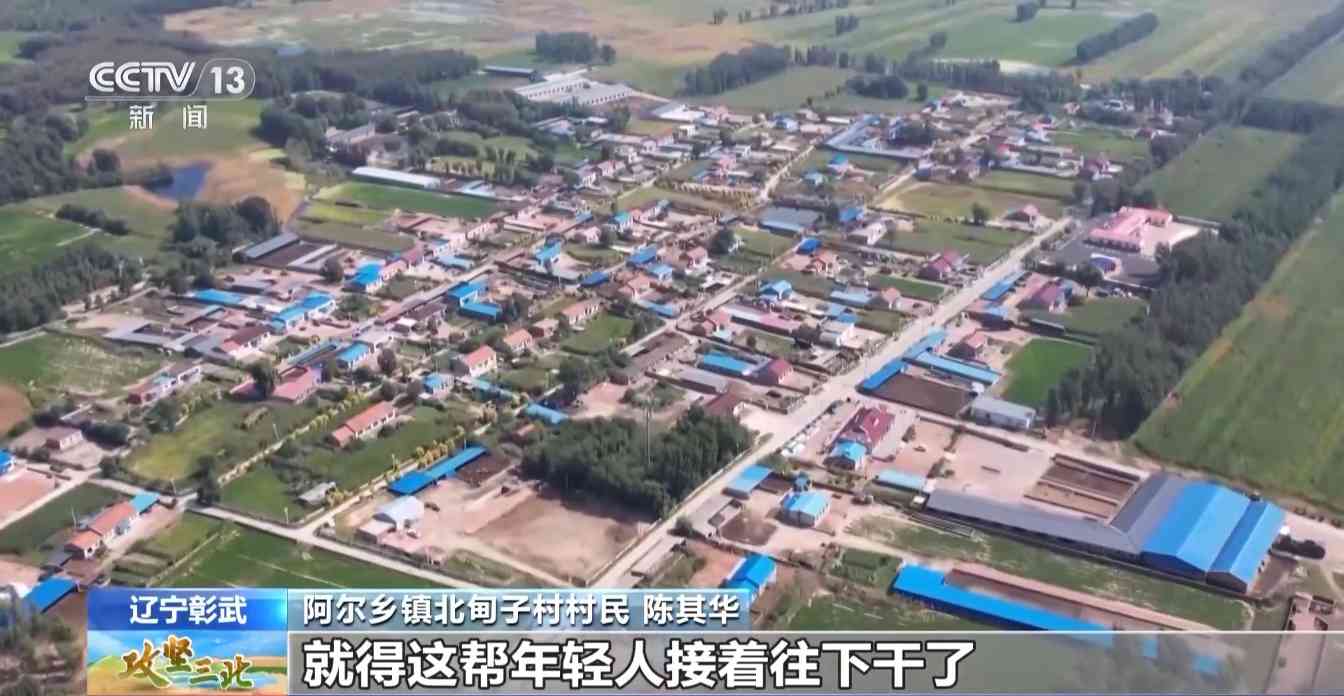 樟子松造林技术揭秘：三北工程防风固沙树种科学种植方法