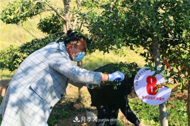 擦亮生态品牌助力乡村振兴,湖北孝昌苗木花卉产业发展综述(图2) 擦亮生态品牌助力乡村振兴,湖北孝昌苗木花卉产业发展综述(图2)