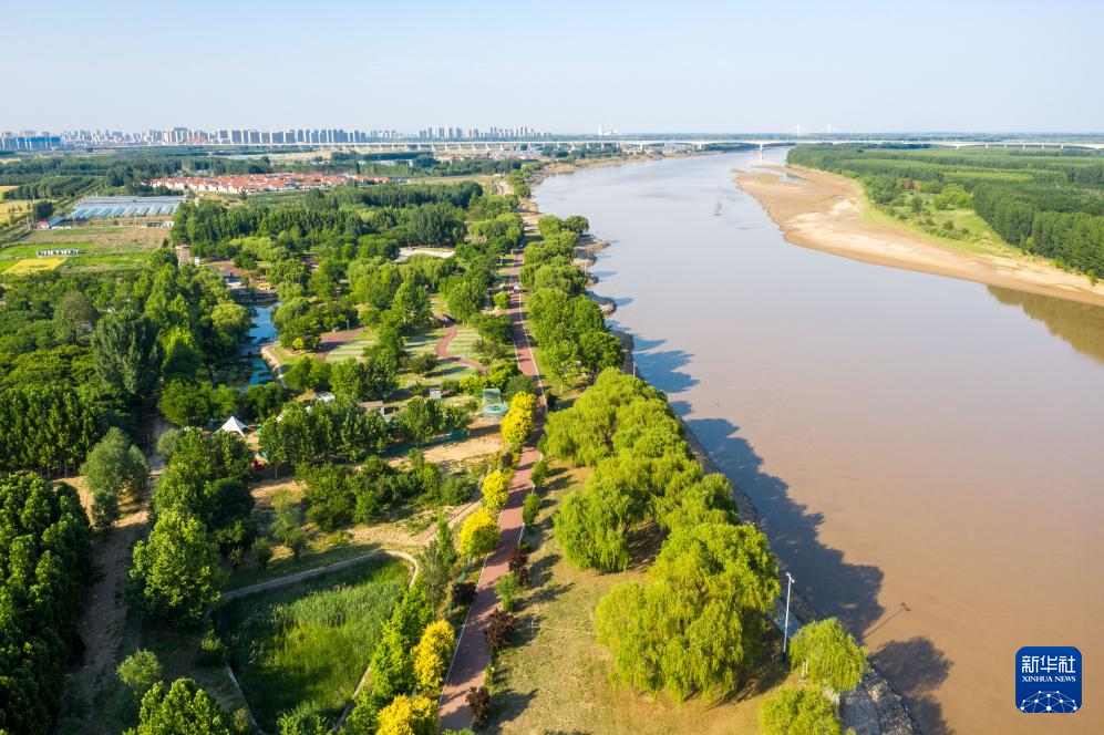 山东黄河生态修复成效显著 打造绿色生态安全长廊