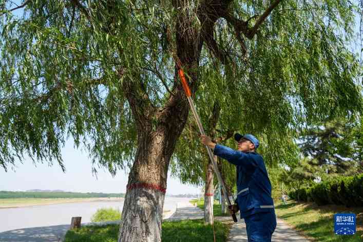 山东黄河生态修复成效显著 打造绿色生态安全长廊