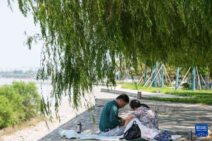 山东黄河生态修复成效显著 打造绿色生态安全长廊