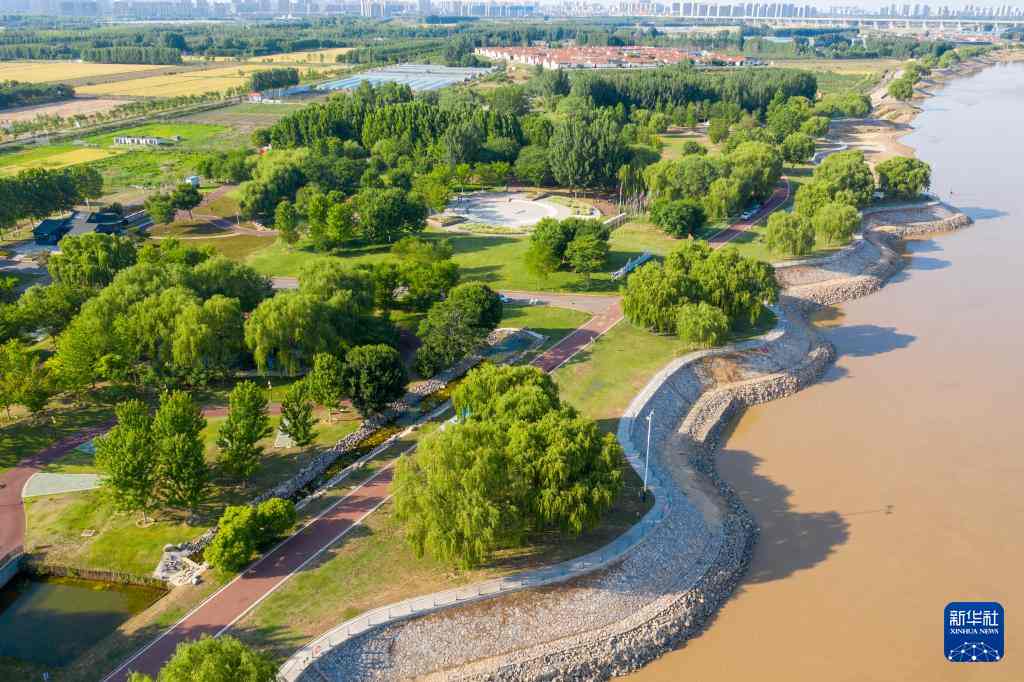 山东黄河生态修复成效显著 打造绿色生态安全长廊