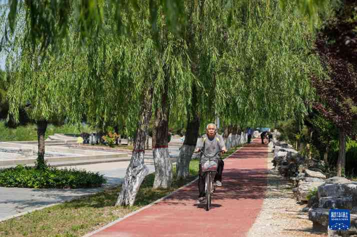 山东黄河生态修复成效显著 打造绿色生态安全长廊