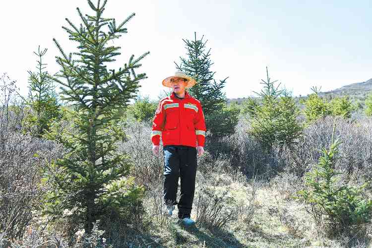 退伍军人坚守护林十七载 守护家乡绿水青山的平凡英雄