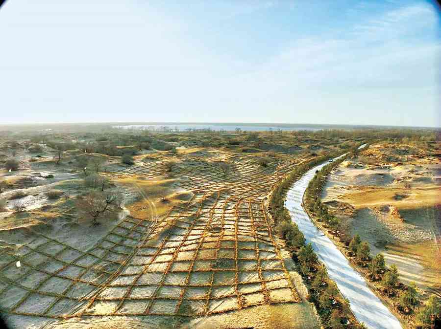 科尔沁沙地歼灭战成效显著 通辽市实现绿进沙退生态逆转