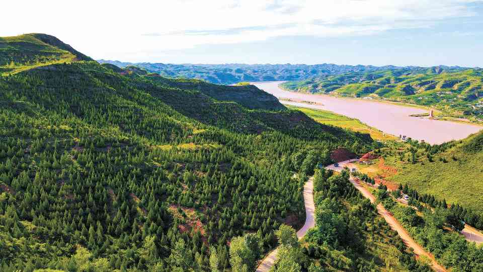 陕西荒漠化治理新突破：三北攻坚战推进绿色版图持续扩展