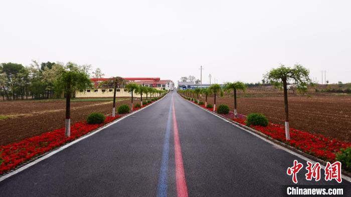 山西长子以绿为笔绘就宜居乡村新画卷，提升村民幸福感