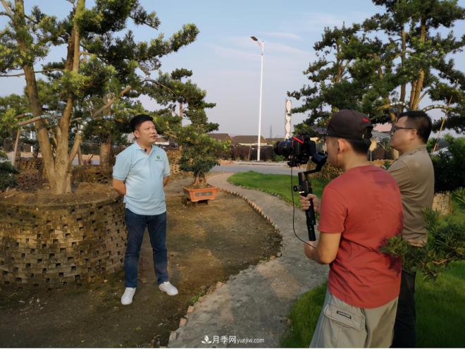 广东省中山市横栏镇,这个3万亩的花木之乡,亩均年产值竟达10万元(图6) 广东省中山市横栏镇,这个3万亩的花木之乡,亩均年产值竟达10万元(图6)