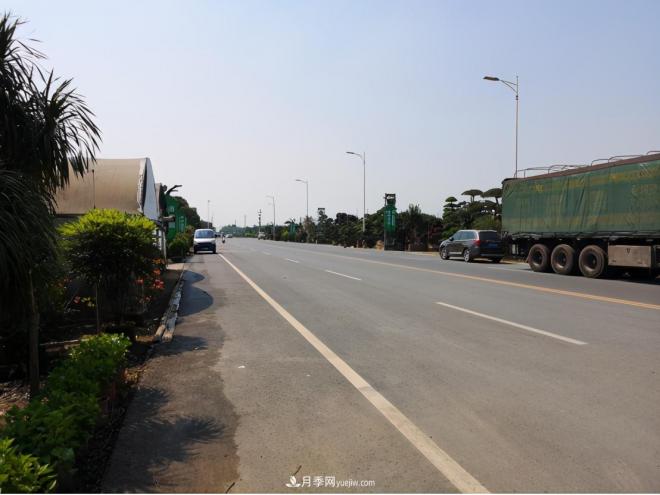 广东省中山市横栏镇,这个3万亩的花木之乡,亩均年产值竟达10万元(图3) 广东省中山市横栏镇,这个3万亩的花木之乡,亩均年产值竟达10万元(图3)