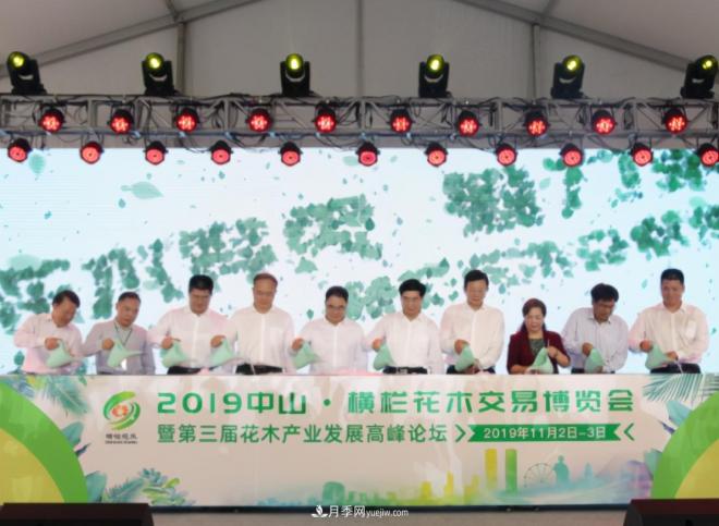 广东省中山市横栏镇,这个3万亩的花木之乡,亩均年产值竟达10万元(图11) 广东省中山市横栏镇,这个3万亩的花木之乡,亩均年产值竟达10万元(图11)