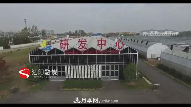 江苏泗阳新境界花卉基地:“花样”产业助力乡村振兴(图1) 江苏泗阳新境界花卉基地:“花样”产业助力乡村振兴(图1)