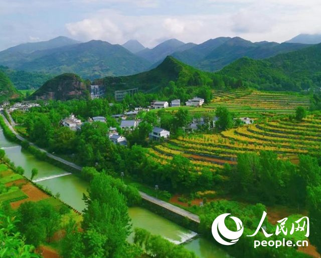 西部大开发生态修复成效显著 绿色发展谱写新篇章