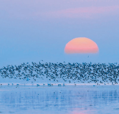 河北生态建设成效显著 山水林田湖草沙系统治理见实效
