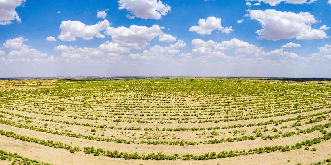 中国绿色发展战略：扩绿兴绿护绿并举建设美丽中国