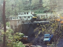 贵州久安乡从煤矿小镇到茶产业转型的成功蜕变