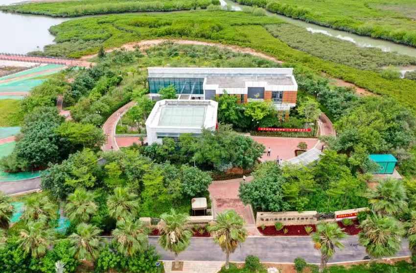 我国国土空间生态保护修复实现“四个转变”