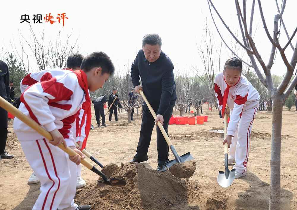 央视快评丨全民植树增绿 共建美丽中国