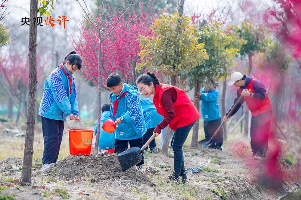 央视快评丨全民植树增绿 共建美丽中国