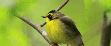 微视频｜让大地山川绿起来